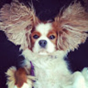 Meet your Posher, Gabi